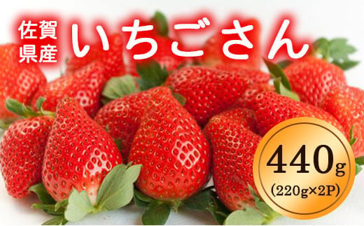 【先行予約】◆2025年1月中旬より順次発送予定◆ いちごさん 440g (220g×2p)