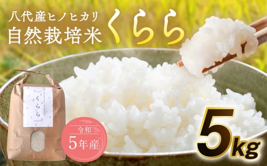 自然栽培米 くらら 精米 5kg 米