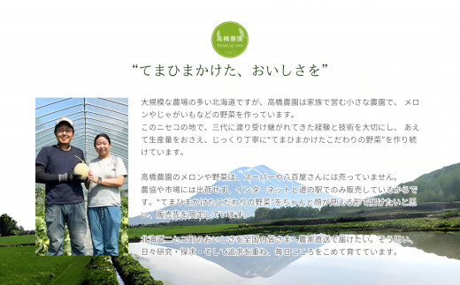 《2024年分受付中》甘くてほくほく!北海道ニセコ名産「キタアカリ」新じゃが10kg/高橋農園【37005】