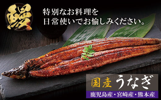 福岡県福智町のふるさと納税 P61-74-01 【累計22万尾突破！】国産うなぎ蒲焼特大サイズ4尾（計800g以上）鰻蒲焼用タレ・山椒付 うなぎ生産量日本一 鹿児島県産うなぎ 宮崎県産うなぎ 熊本県産うなぎ 国産鰻 鰻 うなぎ蒲焼き うな重 ひつまぶし 鰻 ウナギ 蒲焼 人気 鰻 おすすめ タレ 山椒 うなぎ 4尾 特大 福智町うなぎ 人気№1