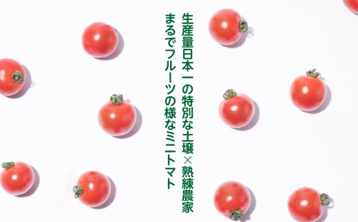 熟練農家から厳選されたトマトをお召し上がりください。