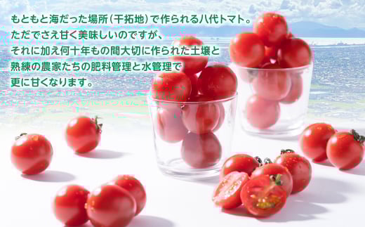 熟練農家から厳選されたトマトをお召し上がりください。