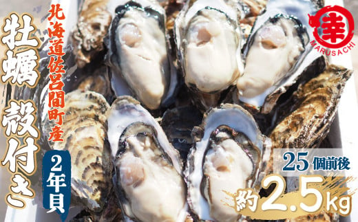 ふるさと納税 北見市 【2024年発送】サロマ湖産殻付き2年牡蠣 中 約3kg