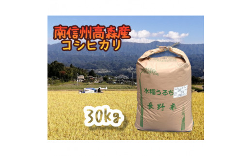 コシヒカリ精米30kg 1290690 - 長野県高森町