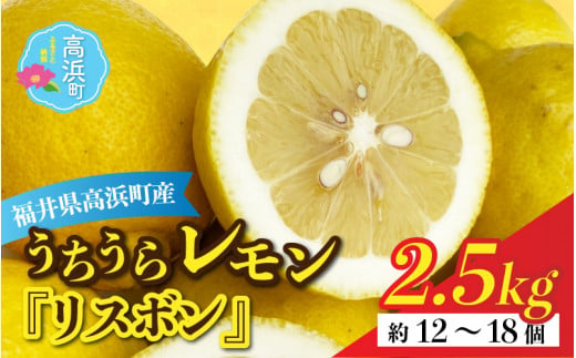 【先行予約】日本海で育ったうちうらレモン「リスボン2.5kg」皮まで丸ごと食べられます！（農薬不使用）【12月下旬より順次発送】 1290760 - 福井県高浜町
