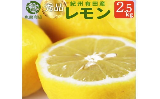 秀品　紀州有田産レモン　2.5kg【予約】※2025年3月上旬頃～3月下旬頃に順次発送予定(お届け日指定不可) レモン れもん 果物 柑橘 1290078 - 和歌山県串本町