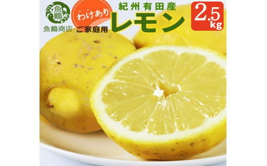 【ご家庭用訳あり】紀州有田産レモン　2.5kg【予約】※2025年3月上旬頃～3月下旬頃に順次発送予定(お届け日指定不可) レモン れもん 果物 柑橘 1290079 - 和歌山県串本町