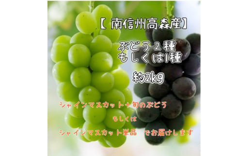 シャインマスカットと旬のぶどう(2種類もしくは1種類)約2kg 1290645 - 長野県高森町