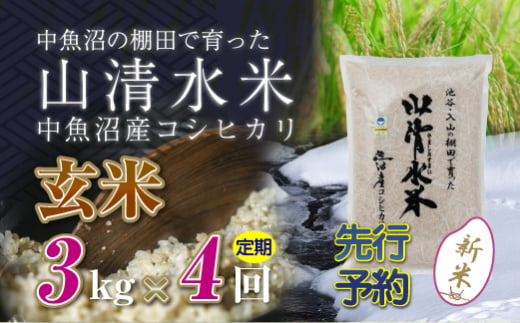 【新米先行受付】【定期便／全4回】玄米3kg　新潟県魚沼産コシヒカリ「山清水米」