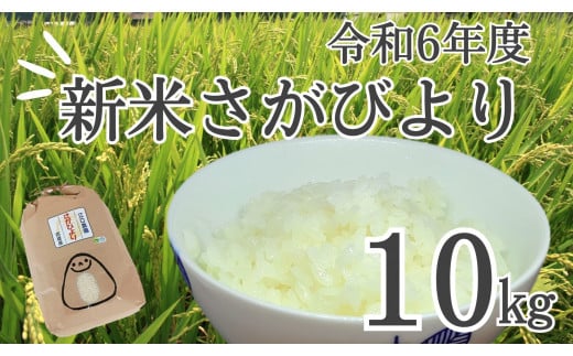 [新米先行予約]新米さがびより10kg(令和6年産)