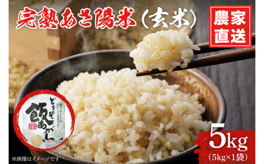 CP025 完熟あさ陽米（玄米）5kg ひとめぼれ 特別栽培米 生産農家直送 1188523 - 岩手県紫波町