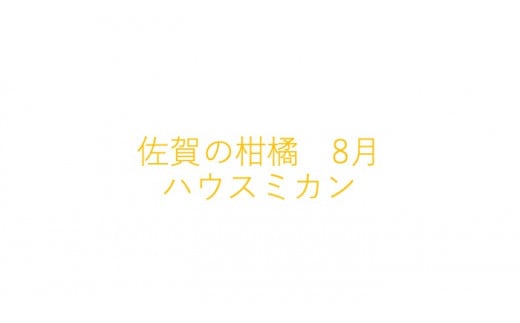 佐賀の柑橘 8月 ハウスミカン