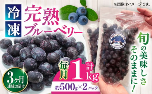 【全3回定期便】完熟 冷凍ブルーベリー 計1kg (約500g×2パック)