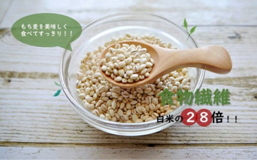 埼玉県鴻巣市のふるさと納税 No.029 国産もち麦キラリモチ6kg（1kg×6個セット）