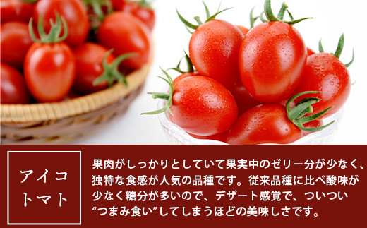 熊本県産 ミニトマト「アイコ (赤色)」約1.25kg