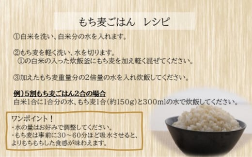 埼玉県鴻巣市のふるさと納税 No.029 国産もち麦キラリモチ6kg（1kg×6個セット）