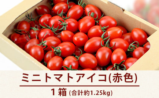 【産地直送】熊本県産 ミニトマト「アイコ (赤色)」約1.25kg 国産トマト アイコ とまと 甘い 熊本 多良木町 農園直送 新鮮 フルーツトマト  フルーティ 020-0532