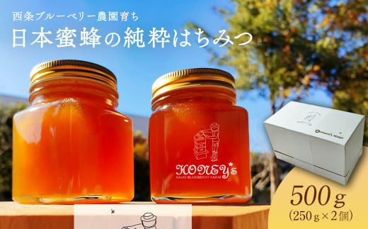 日本蜜蜂の純粋はちみつ 500g （250g×2個）　ハチミツ 純粋はちみつ 百花はちみつ 日本蜜蜂 化粧箱 ギフト  西条ブルーベリー農園  1291890 - 愛媛県西条市