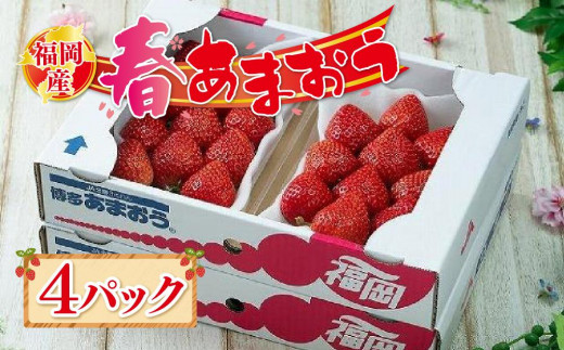 [2025年2月上旬より順次発送]先行予約!福岡産あまおう[春]4パック[あまおう いちご イチゴ 苺 フルーツ くだもの 福岡県産 ブランド 果物 食品 人気 おすすめ ギフト 贈答 福岡県 筑前町 DX003]