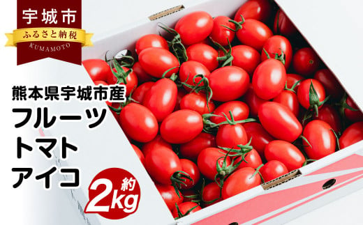 宇城市産 フルーツトマト アイコ 約2kg しんたのトマト農園 1283992 - 熊本県宇城市