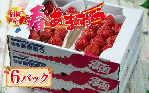 福岡産【春】あまおう6パック※一部離島不可【いちご イチゴ 苺 あまおう 福岡県産 ブランド フルーツ 果物 くだもの 食品 人気 おすすめ 福岡県 筑前町 DX004】 1200469 - 福岡県筑前町