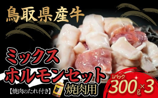 鳥取県産牛　焼肉用ミックスホルモンセット 国産 ホルモン 焼肉 小分け