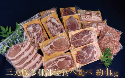 [数量限定]国産豚ホルモン200g付き 涌谷町産三元豚多種部位食べ比べセット 約4kg