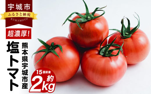 超濃厚! 宇城市産 塩トマト 約2kg 15個前後 しんたのトマト農園 1283983 - 熊本県宇城市
