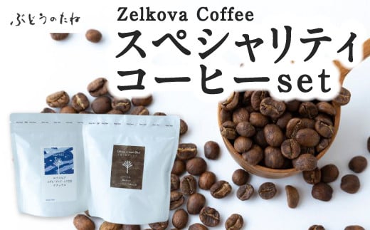 P570-03 Zelkova Coffee スペシャルティコーヒーset 535897 - 福岡県うきは市