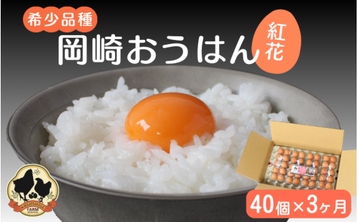 【3カ月定期便】希少品種　岡崎おうはん 紅花の卵 40個×3回【冷蔵配送】 / 田辺市 卵 たまご 有精卵 純国産鶏 鶏卵 平飼い お取り寄せ 卵かけごはん 和歌山県【kag011-tk】 1359108 - 和歌山県田辺市