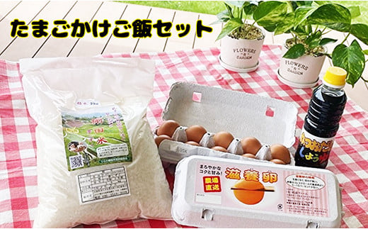 相浦ファームの滋養卵を使用　たまごかけご飯セット(写真はイメージです)
