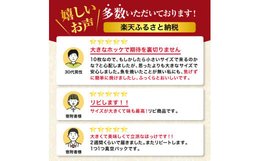 北海道えりも町のふるさと納税 えりも【マルデン特製】北海道産塩ホッケ5枚(200g以上)【er002-067】