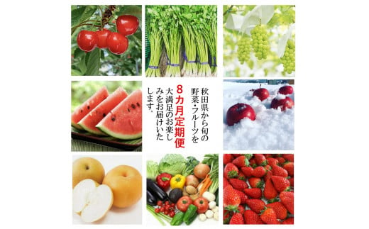 【定期便】フルーツ 野菜 大満足定期便【８ヶ月】[F9901]