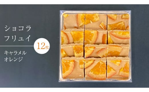 ショコラフリュイ キャラメルオレンジ 12枚 チョコレート チョコ スイーツ デザート 高級 ギフト 贈り物 お礼 プレゼント 手土産 お菓子