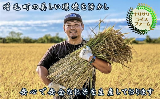 6-015-021　増毛町産米ななつぼし 10kg（10月～発送）【成澤ライスファーム】