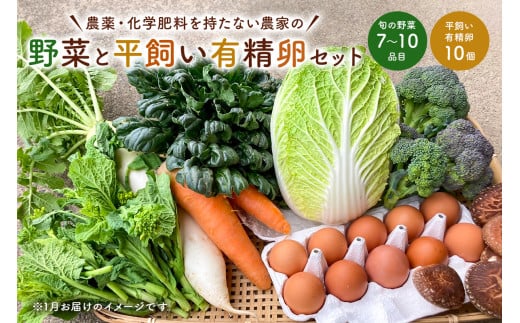 4月発送　農薬・化学肥料を持たない農家の野菜（7～10種類）と 平飼有精卵のセット mi0036-0017-04 【野菜 卵 露地栽培 国産 旬野菜 季節野菜 キャベツ きゅうり トマト 果物 蒟蒻 味噌】