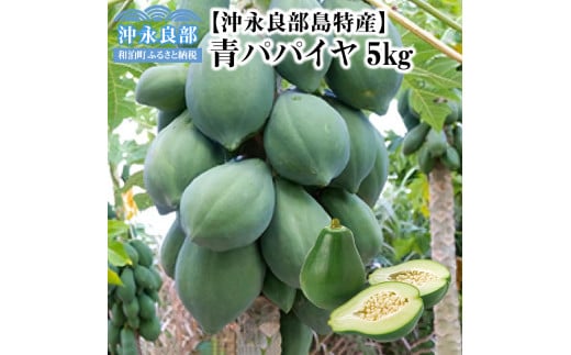 酵素たっぷり「青パパイヤ」5kg 1295940 - 鹿児島県和泊町