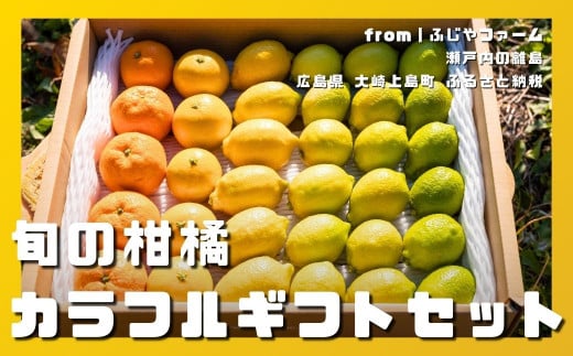 爽やかなグリーンレモンから濃厚な完熟みかんまで、味も見た目も違いを楽しめるスペシャルな柑橘セットをお届けします。