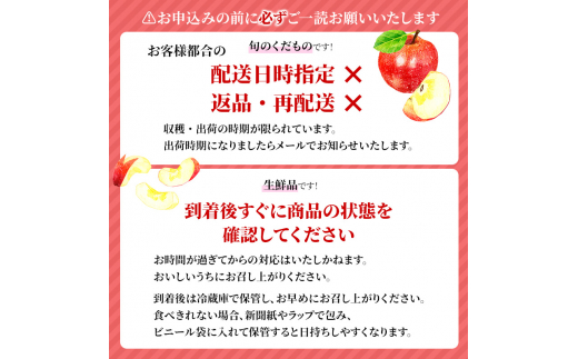 4月クール便発送】(13度糖度保証) 贈答用 CA貯蔵 サンふじ 約3kg【弘前市産・青森りんご】 - 青森県弘前市｜ふるさとチョイス -  ふるさと納税サイト