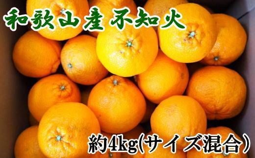 和歌山県産不知火約4kg（サイズ混合）★2025年2月下旬～3月下旬発送【TM130】 1293372 - 和歌山県かつらぎ町