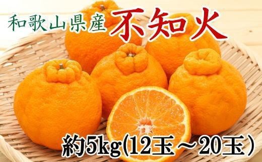 和歌山県産不知火約5kg（12玉～20玉おまかせ）2L～5Lサイズ★2025年2月下旬～3月下旬発送【TM131】 1293570 - 和歌山県かつらぎ町