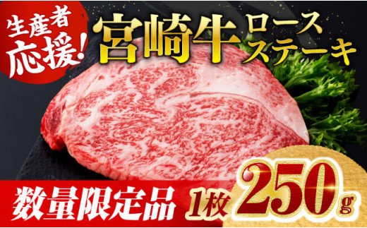《数量限定》宮崎牛ロースステーキ1枚 (250g) 肉 牛肉 宮崎県産 黒毛和牛