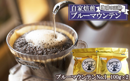 珈琲 自家焙煎 Morrow珈琲 “コーヒーの王様” ブルーマウンテン ストレート 100g×2：豆 235018 - 福岡県小郡市