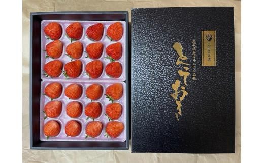 【先行予約】がんばる私に、ご褒美いちご。オリジナル品種「とっておき」( 24 ～ 30 粒入り )ドライフルーツ2袋セット(贈答用) 1293835 - 鳥取県琴浦町