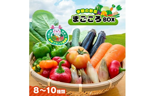 JAきみつ 季節の野菜まごころBOX 人気の直売所 朝採れ 新鮮 野菜 549299 - 千葉県君津市