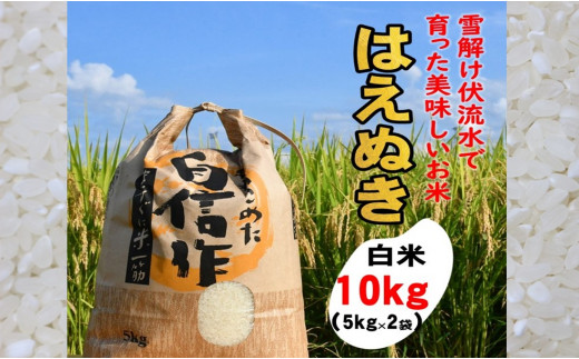 人気のブランド米 はえぬき 白米 10kg(令和6年山形県飯豊町産)