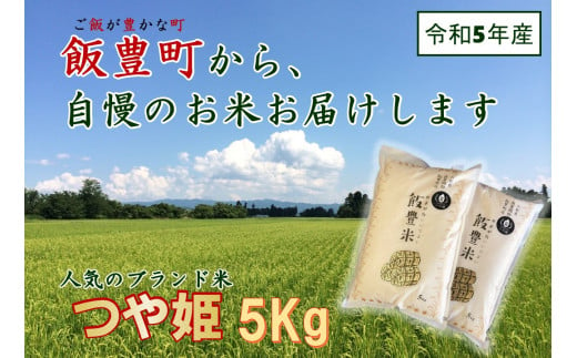 山形県の人気ブランド米 つや姫 白米 5kg(令和5年飯豊町産)