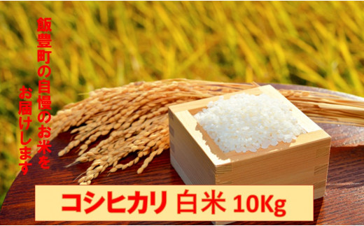 こだわりのお米 コシヒカリ 白米 10kg(令和5年飯豊町産)