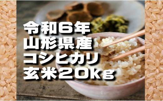 コシヒカリ　玄米20kg（令和6年山形県飯豊町産）