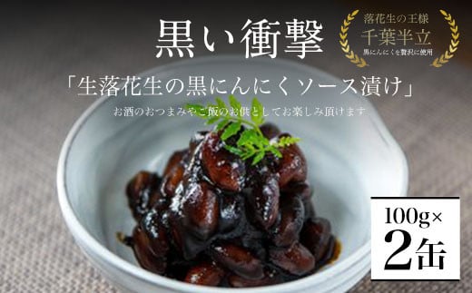 黒い衝撃　生落花生の黒にんにくソース漬け 100g×2缶 SMBA002  / 黒にんにく にんにく 生落花生 ソース漬け ニンニク 大蒜 ソース ポリフェノール おつまみ ご飯のお供 